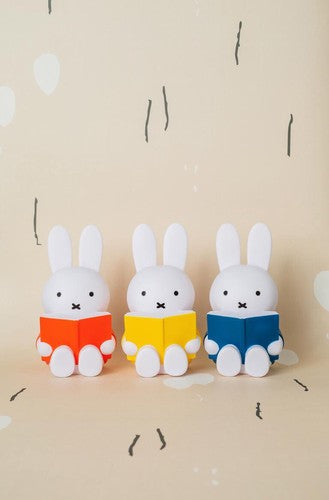 MIFFY MONEY BANK 💰