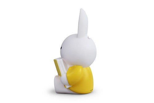 MIFFY MONEY BANK 💰